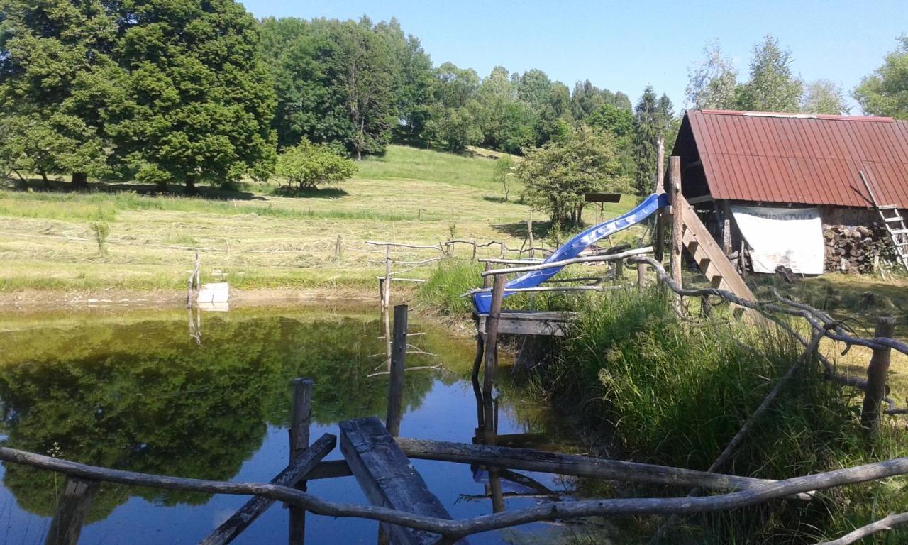 Вилла U Janusza Zadworze Экстерьер фото
